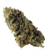 Amsterdam Genetics - Green Magic (5 seeds pack)
