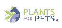 Plant of Life Cannalina Vaseline With 1% Cannabidiol and 0.5% Cannabigerol